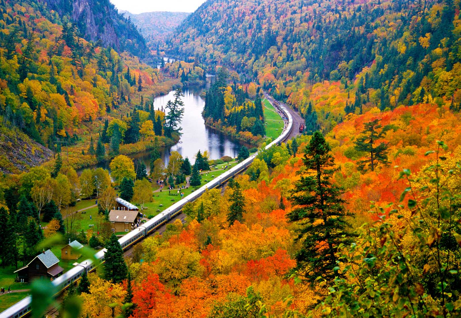 Lá phong - Vẻ đẹp bất tận cho mùa thu Canada | Tạp chí du lịch