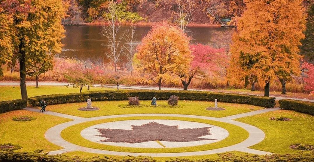 Lá phong - Vẻ đẹp bất tận cho mùa thu Canada | Tạp chí du lịch